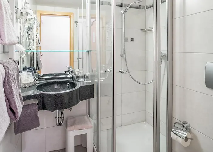 Ξενοδοχείο Passauer Wolf 4*