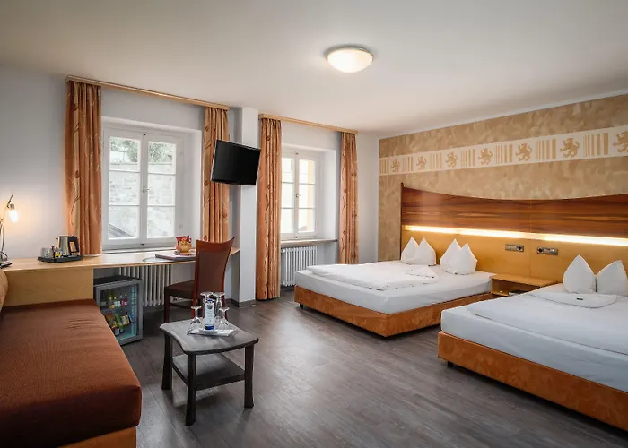 帕绍沃弗酒店 4*