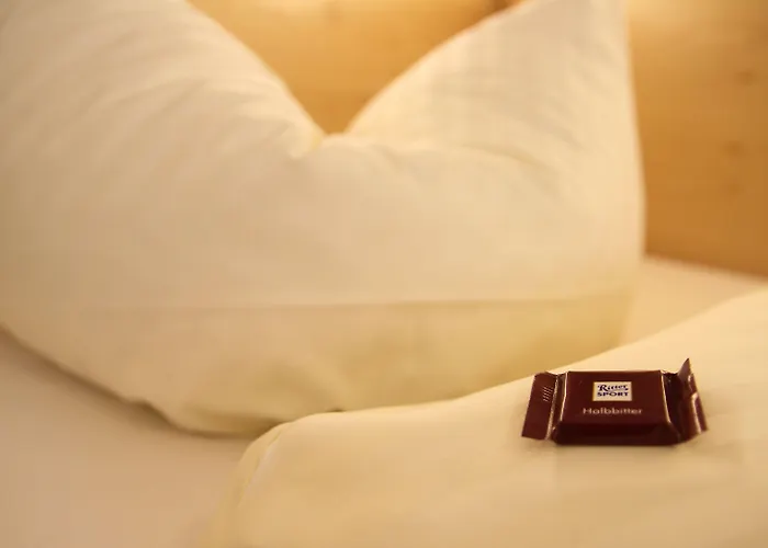 酒店 帕绍沃弗酒店 帕绍