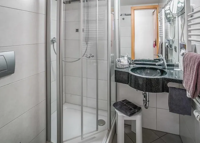 帕绍沃弗酒店 酒店 帕绍