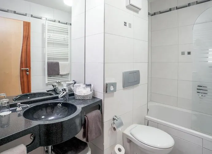 帕绍沃弗酒店 4* 帕绍