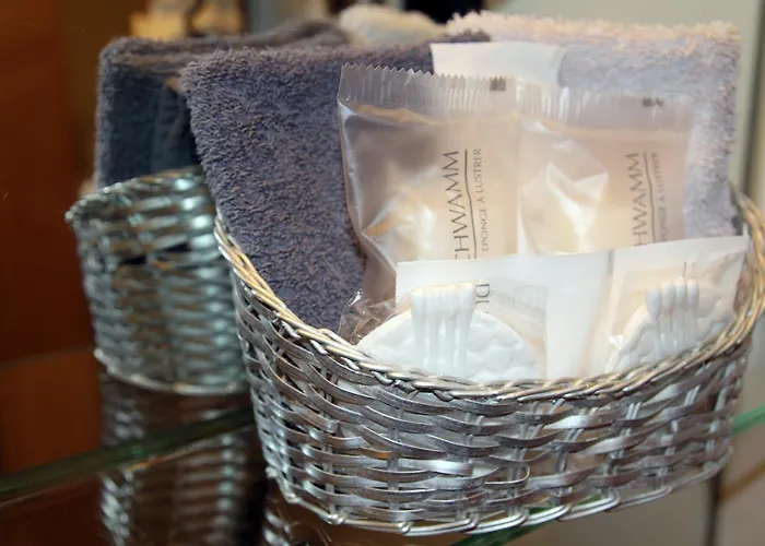 酒店 帕绍沃弗酒店 4*